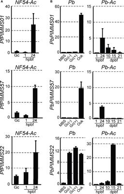 Identification of Three Novel Plasmodium Factors Involved in Ookinete to Oocyst Developmental Transition